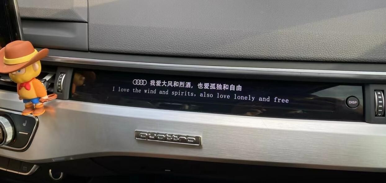 Bosch Passenger Display Screen Co-pilot LCD Instrument Cluster Panel for Audi B9 A4 S4 RS4 A5 S5 RS5 A6 S6 RS6 C8 A7 S7 RS7 Q7 SQ7 Sport